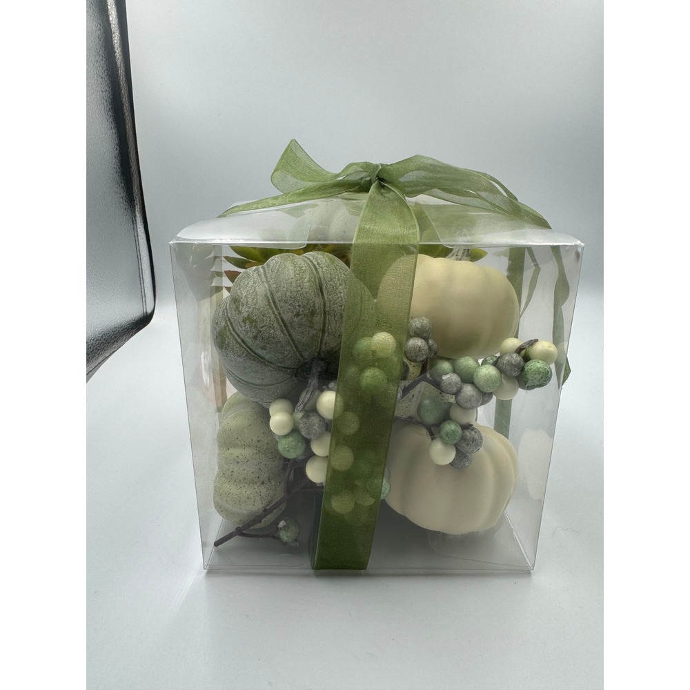Decorative Pumpkin Succulent Filler Set 14pc Sage Green